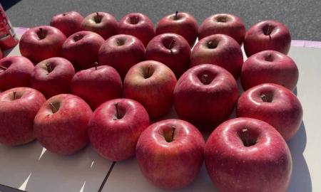 伊都高野山ライオンズクラブ献血推進活動