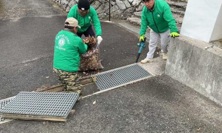 国宝長保寺清掃奉仕活動