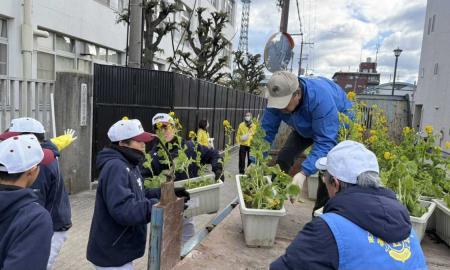 「街に菜の花を咲かせよう 2.12菜の花忌」協力アクティビティ